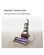 Dyson Ball Animal Origin Vacuum Cleaner
