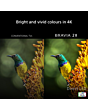 Sony K75S25M2PB.UKA 75-inch 4K BRAVIA Google TV