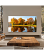TCL 65C8L-UK 65inch 4K QD-Mini LED Google TV Black
