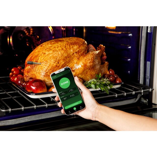 Ninja WP100EU Prochef Wireless Cooking Thermometer - Black/Silver