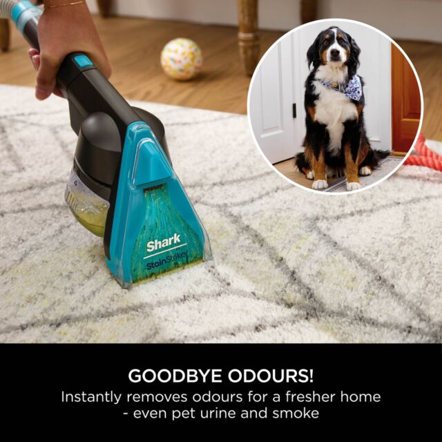 Shark EX300UK Shark CarpetXpert HairPro Pet Deep Carpet Cleaner with Built-In StainStriker - Charcoal