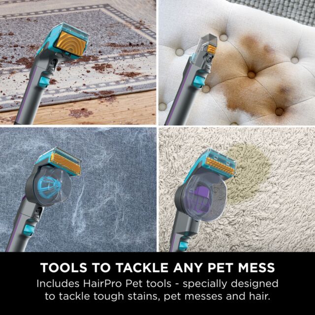 Shark PX250UKT StainStriker HairPro Pet Stain & Spot Cleaner - Dark Silver & Force Fuchsia
